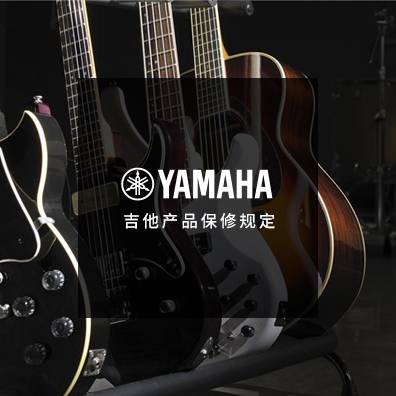 吉他、贝斯和音箱